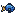 Little Blue Tang