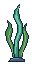 Seaweed
